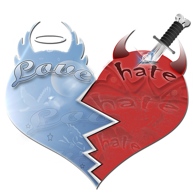 srdce rozdělené na půl, láska – nenávist