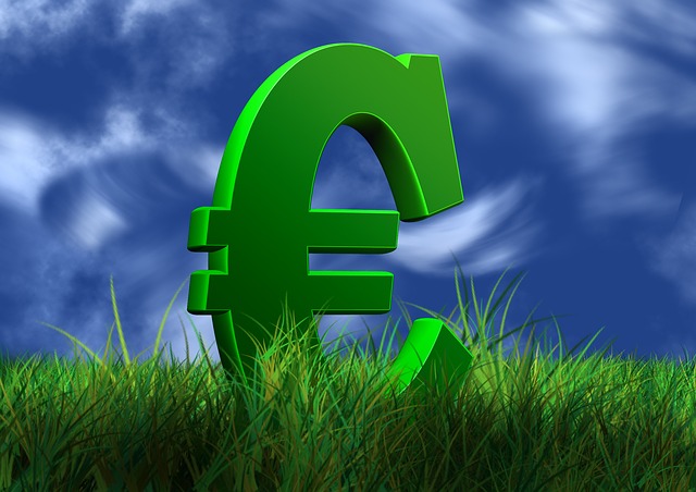 symbol eura